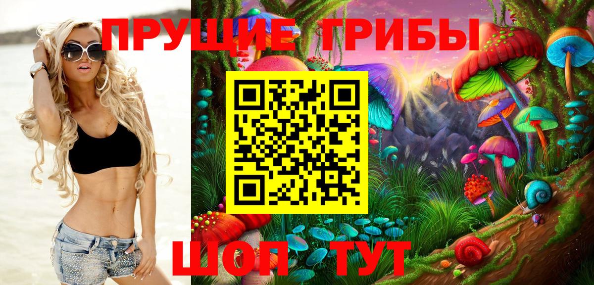 Искитим  Псилоцибиновые грибы мицелий  Вход с VPN 